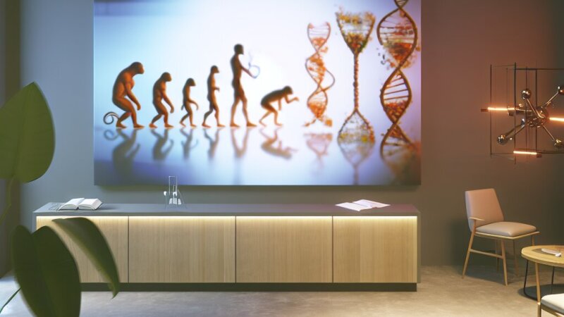 Inzicht in Erfelijkheid en Evolutie: Basisprincipes en Toepassingen